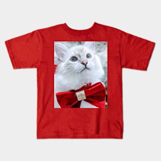 Saoirse ragdoll Santa baby Kids T-Shirt